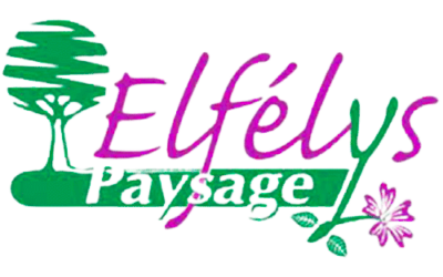 Elfélys PAYSAGE